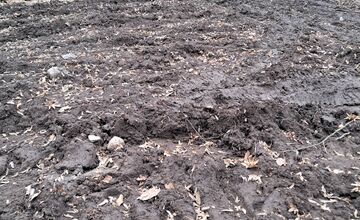 FOTO: Stav lesných chodníkov v okolí Zvolena