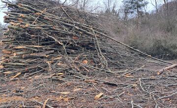 FOTO: Stav lesných chodníkov v okolí Zvolena