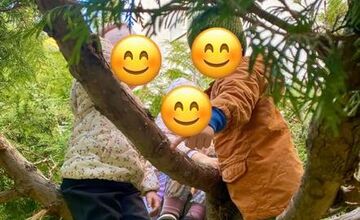 FOTO: Spomienky na vypílené stromy v Podlaviciach