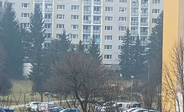 FOTO: Spomienky na vypílené stromy v Podlaviciach