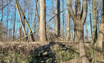 FOTO: Pri rybníku na Uhlisku pribúdajú popadané stromy