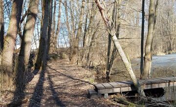 FOTO: Pri rybníku na Uhlisku pribúdajú popadané stromy