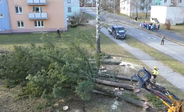 FOTO: V Bystrici padli ďalšie stromy, mesto má na tento výrub vysvetlenie