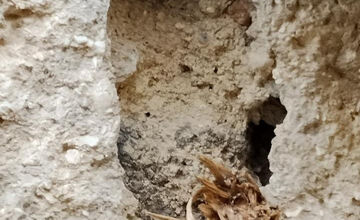 FOTO: Lekárka pri Lučenci ordinuje vo veľmi zlých priestoroch