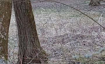 FOTO: Z kedysi krásneho miesta nad Zvolenom je ruina