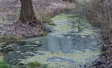 FOTO: Z kedysi krásneho miesta nad Zvolenom je ruina