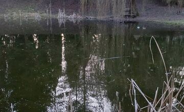 FOTO: Z kedysi krásneho miesta nad Zvolenom je ruina