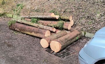 FOTO: Kmene stromov zaberajú parkovacie miesta