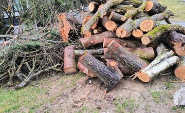 FOTO: Kmene stromov zaberajú parkovacie miesta