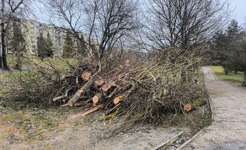FOTO: Kmene stromov zaberajú parkovacie miesta