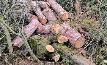 FOTO: Kmene stromov zaberajú parkovacie miesta