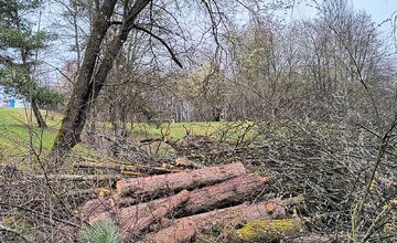 FOTO: Kmene stromov zaberajú parkovacie miesta