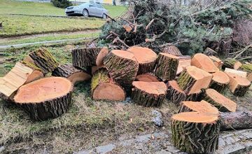 FOTO: Kmene stromov zaberajú parkovacie miesta