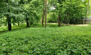 FOTO: Zvolen plánuje veľkú obnovu Borovej hory