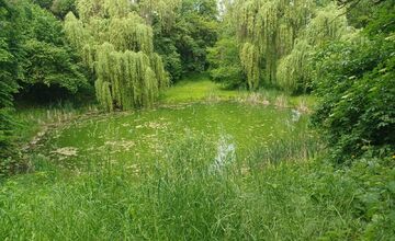 FOTO: Zvolen plánuje veľkú obnovu Borovej hory