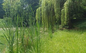 FOTO: Zvolen plánuje veľkú obnovu Borovej hory