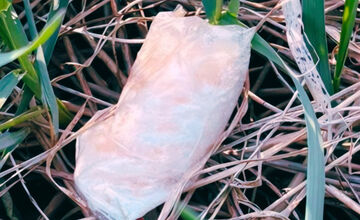 FOTO: Polícia vo Zvolene zaistila drogy a zadržala šesť osôb pri razii