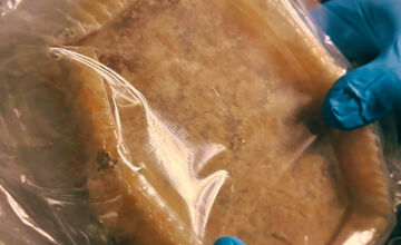 FOTO: Polícia vo Zvolene zaistila drogy a zadržala šesť osôb pri razii