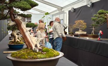 FOTO: V Banskobystrickom kraji to bude žiť na viacerých miestach