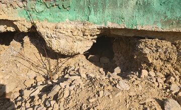 FOTO: Líška sa pravidelne vracia na sídlisko v Bystrici