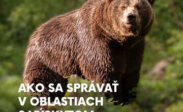 FOTO: Čo robiť, keď stretnete medveďa?