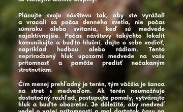 FOTO: Čo robiť, keď stretnete medveďa?