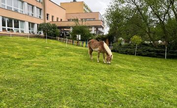 FOTO: Víkend plný zážitkov, vyberte si z podujatí naprieč celým krajom