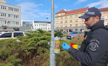 FOTO: V uliciach Zvolena opäť bolo množstvo pohodených použitých striekačiek