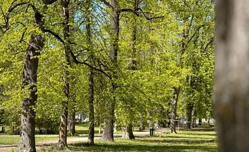 FOTO: Banskobystrický park čaká nová éra