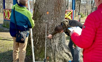 FOTO: Banskobystrický park čaká nová éra